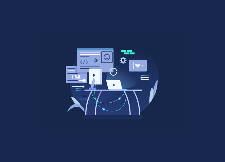 Custom Themes and Plugins